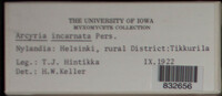 Image Associated With the Occurence